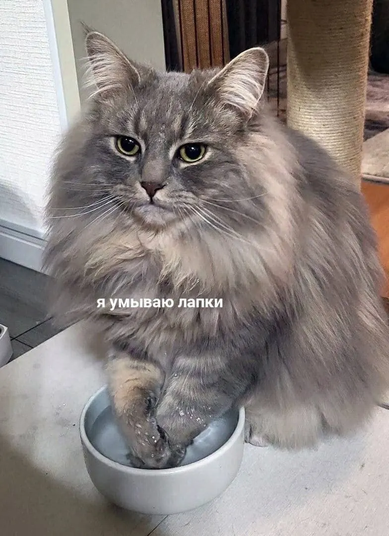 Saved meme 28