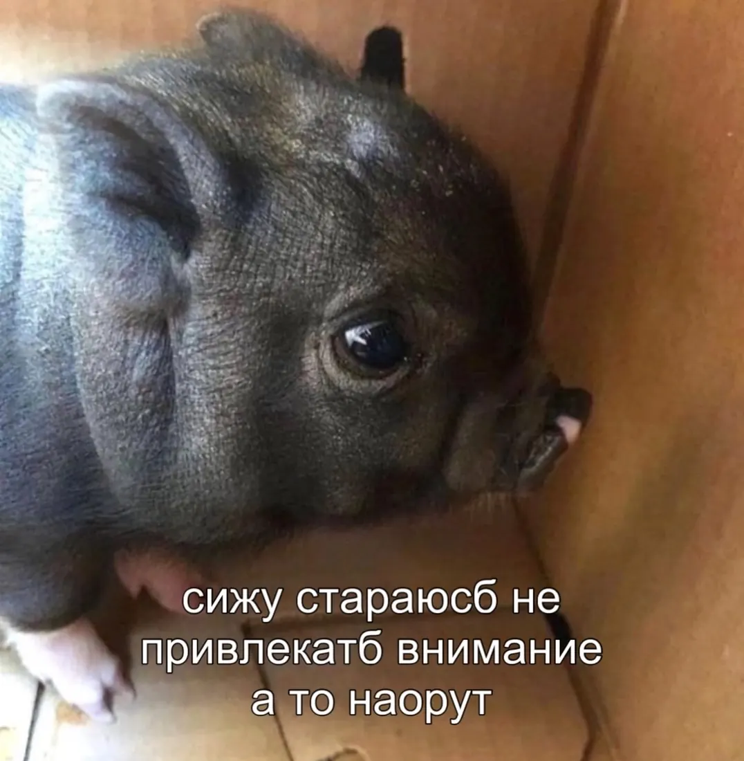 Saved meme 44