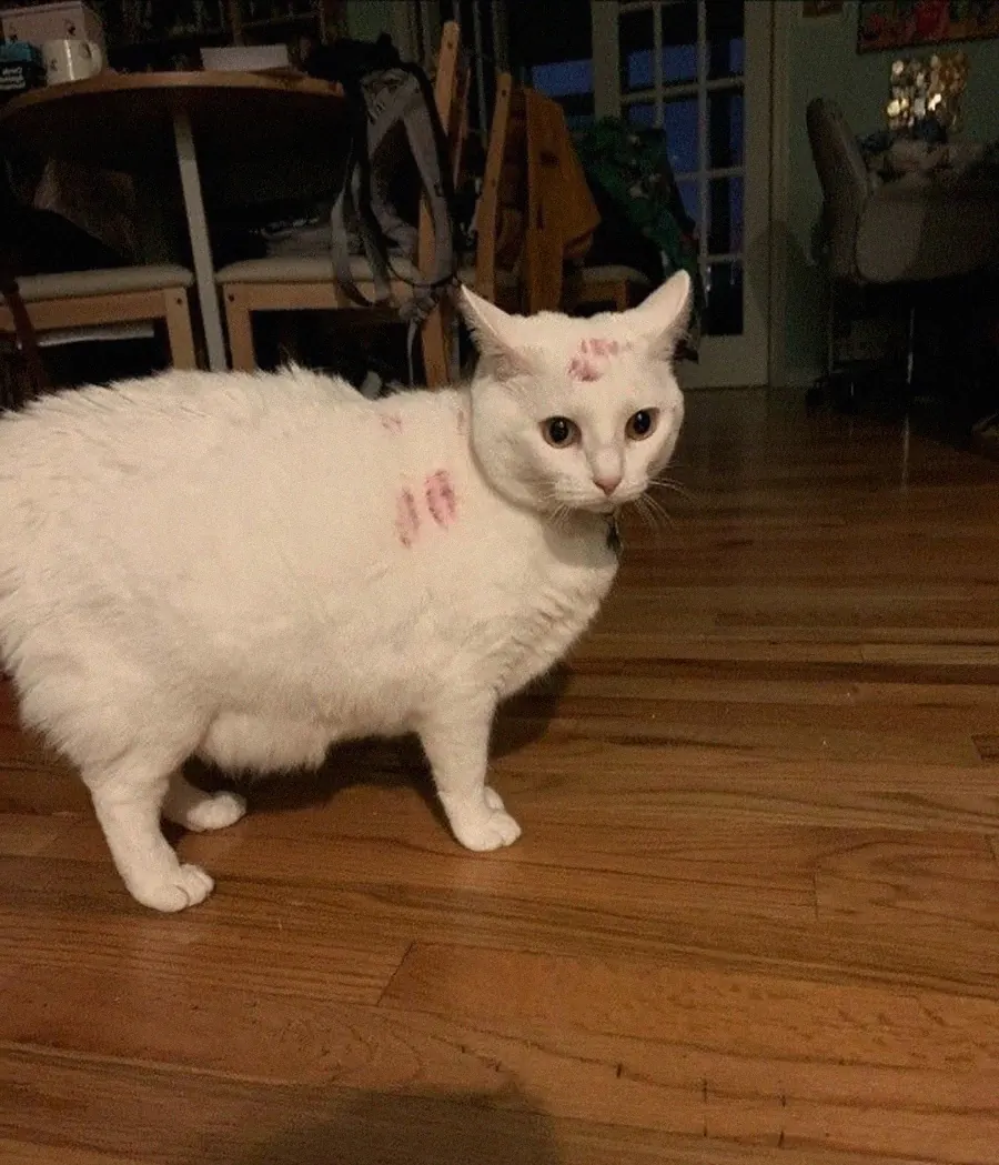 Saved meme 49
